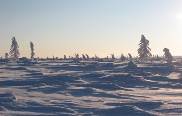 Как мы работали Республике Саха (Якутии) (51 фото) Как мы работали Республике Саха (Якутии) (51 фото)