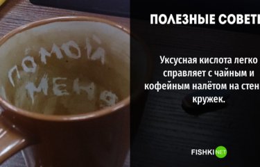 10 действительно полезных применений уксуса в быту(10 фото) 10 действительно полезных применений уксуса в быту(10 фото)