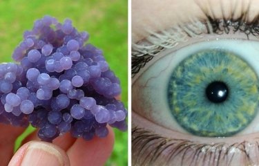 20 фотодоказательств того, что природа легко может удивить даже тех, кто считает, что видел всё(22 фото) 20 фотодоказательств того, что природа легко может удивить даже тех, кто считает, что видел всё(22 фото)
