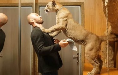 Преступление и наказание: провинившаяся домашняя пума(1 фото + 1 видео) Преступление и наказание: провинившаяся домашняя пума(1 фото + 1 видео)