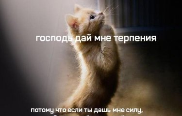 Скрины из соцсетей (15 фото) Скрины из соцсетей (15 фото)