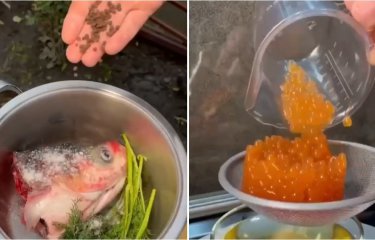 Как из рыбьей головы делают «икру» (1 фото + 1 видео) Как из рыбьей головы делают «икру» (1 фото + 1 видео)