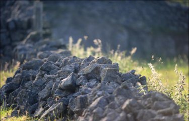Видите сову? (3 фото) Видите сову? (3 фото)