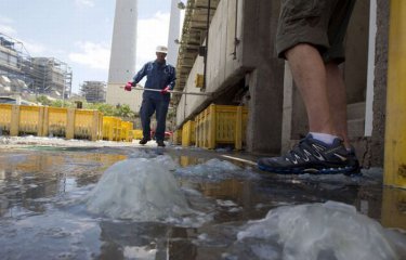 Израильскую электростанцию закрыли из-за медуз (12 фото) Израильскую электростанцию закрыли из-за медуз (12 фото)