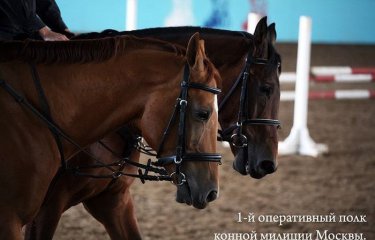 1-й оперативный полк конной милиции Москвы (33 фото) 1-й оперативный полк конной милиции Москвы (33 фото)